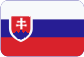 ČNES bau - export, a.s. Slovensky